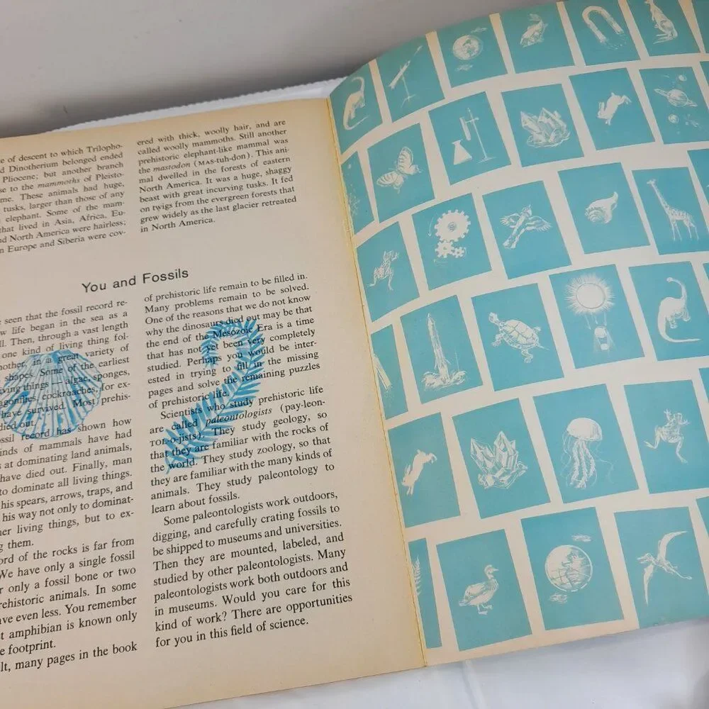 Vintage The How & Why Wonder‎ Book Of Prehistoric Mammals kids 1972 animals pics